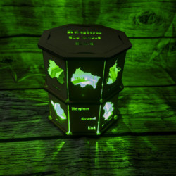Lampe Région Grand Est Bois Brut + LED Couleur