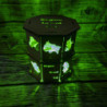 Lampe Région Grand Est Bois Brut + LED Couleur